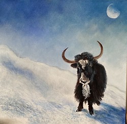 Yak (peinture acrylique, 50 x 50, collection privée)